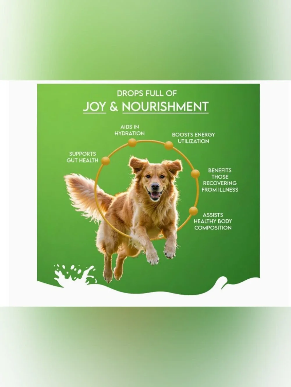 Nature's Sip Goat Milk Nutri Booster For Dog 🐶